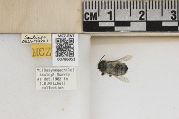Media type: image;   Entomology 786051 Aspect: Labels